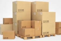 Xu Hướng Sử Dụng Thùng Giấy Carton Năm 2025 – Bước Tiến Mới Trong Ngành Bao Bì